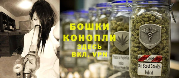 ПСИЛОЦИБИНОВЫЕ ГРИБЫ Ладушкин