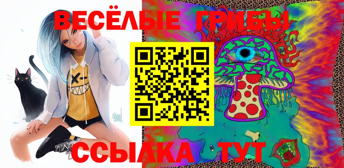 Псилоцибиновые грибы мицелий Курск