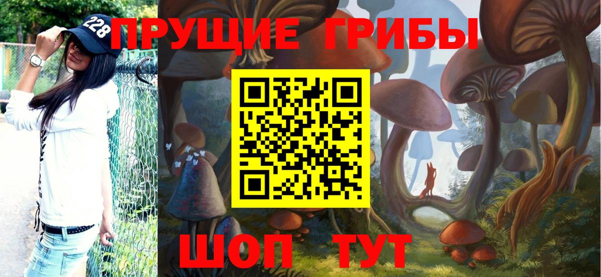 Курск  Псилоцибиновые грибы Psilocybine cubensis  Псилоцибиновые грибы Magic Shrooms  Вход с VPN 