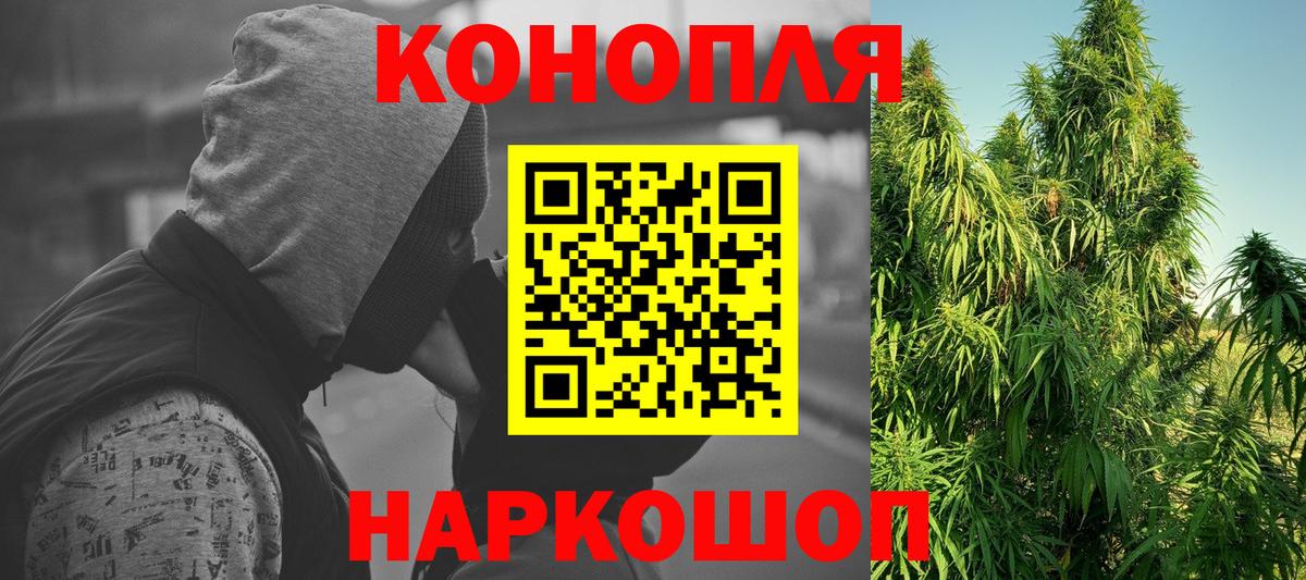 Альфа ПВП Курск